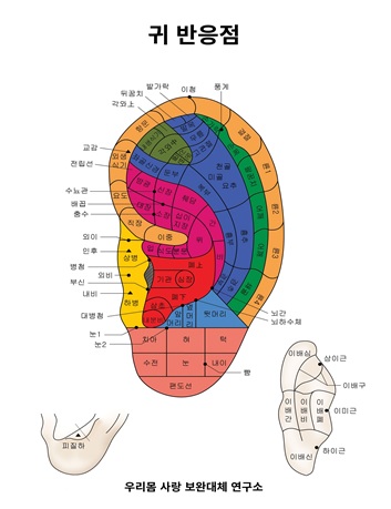 교육사진